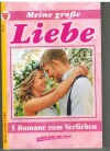 Meine grosse Liebe Nr. 63