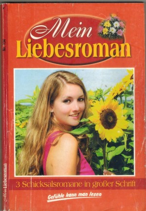 Mein Liebesroman Nr. 134  Vom Hochstein lacht die Sonne wieder ... SEPP HOFER Ein Abschied, der keiner war ... PATRICIA VANDENBERG Wenn Mutterliebe in die Irre geht ... PATRICIA VANDENBERG