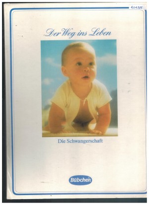 Der Weg ins Leben Die Schwangerschaft Buebchen