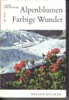 Alpenblumen. Farbige Wunder Band 1: Alpenblumen in ihrer Umwelt und im VolkslebenPaula Kohlhaupt