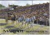 Hengstparade '87Haupt- und Landgestuet Marbach