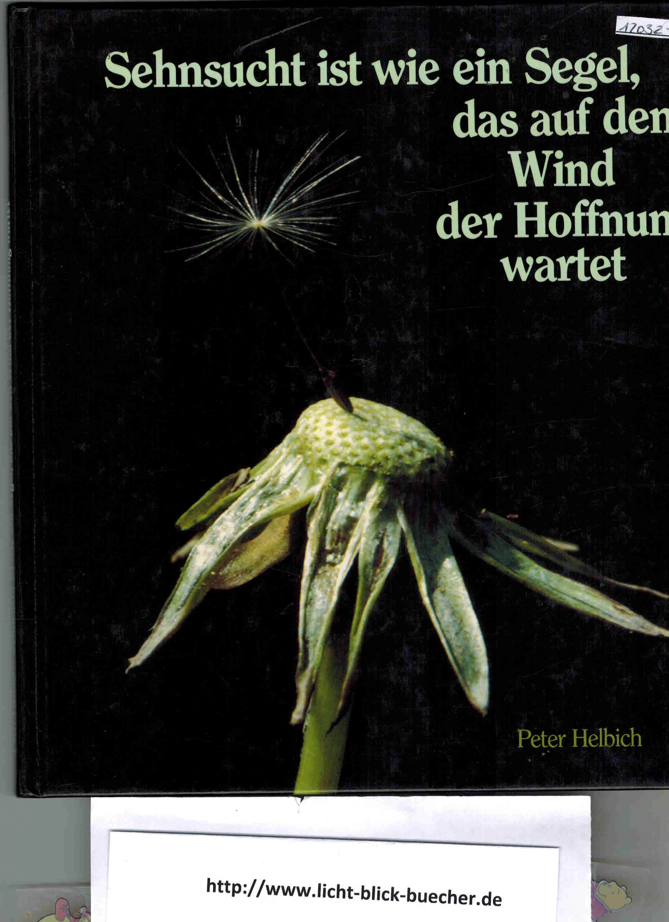 Sehnsucht ist wie ein Segel, das auf den Wind der Hoffnung wartetPeter Helbich
