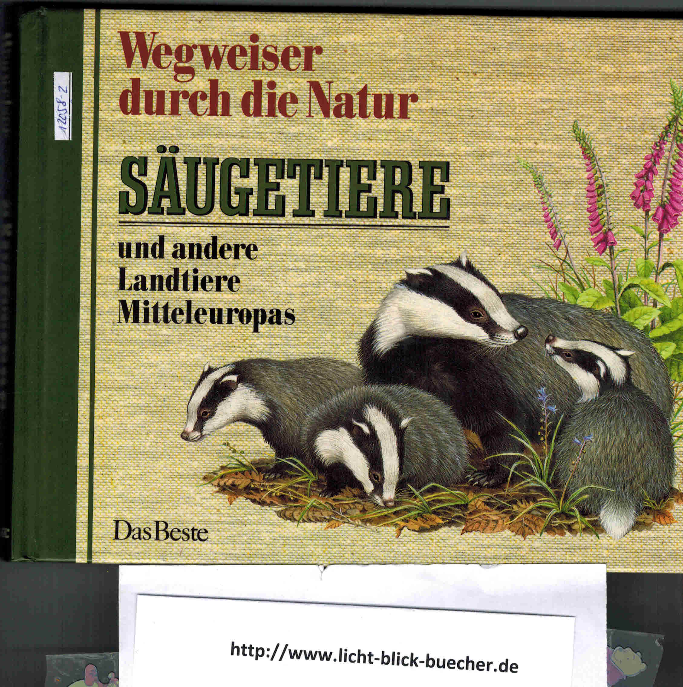 Wegweiser durch die NaturSaeugetiere und andere Landtiere Mitteleuropas