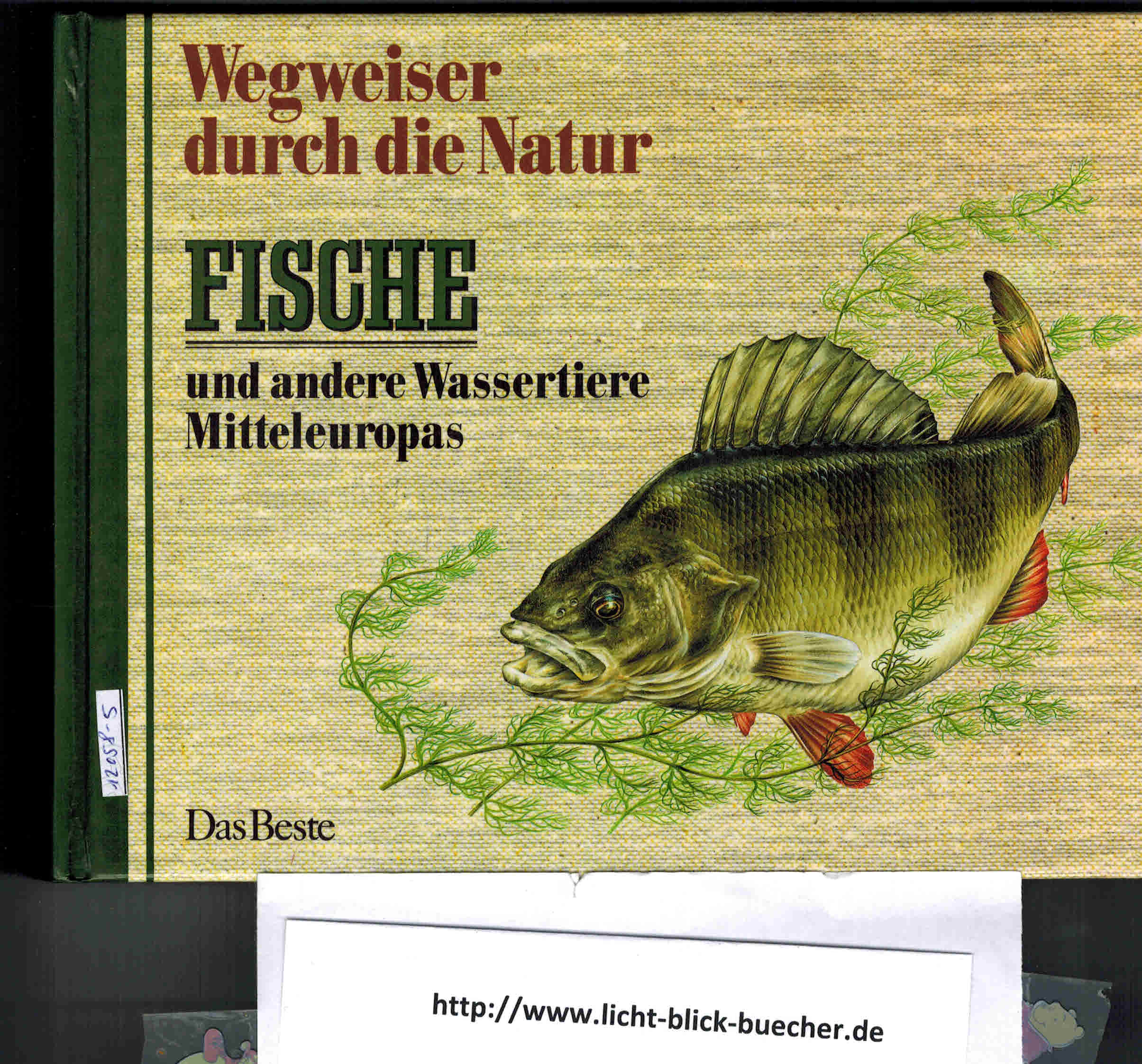 Wegweiser der NaturFische und andere Wassertiere Mitteleuropas