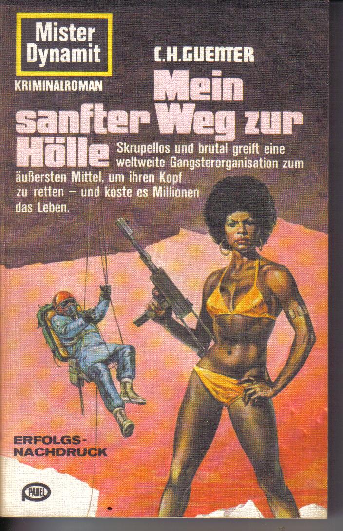 Mein sanfter Weg zur Hoelle C.H.Guenter