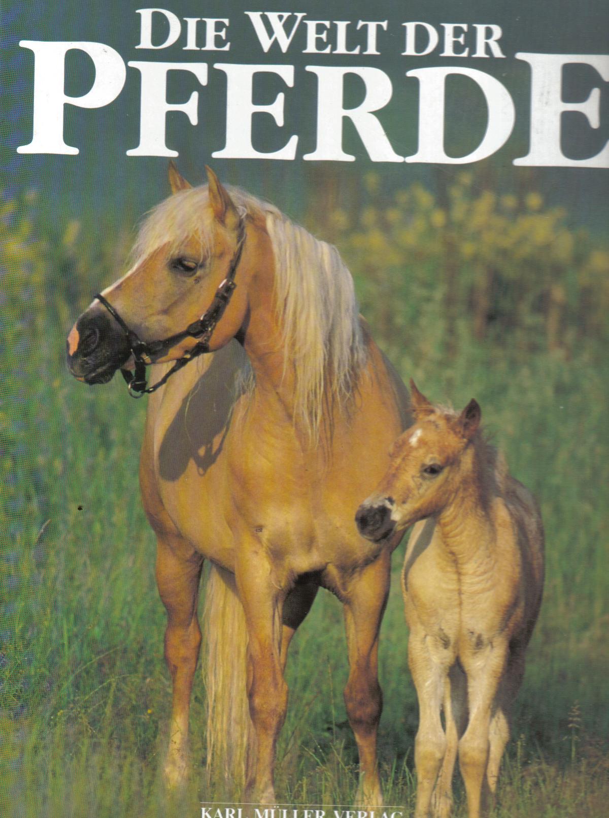 Die Welt der Pferde...