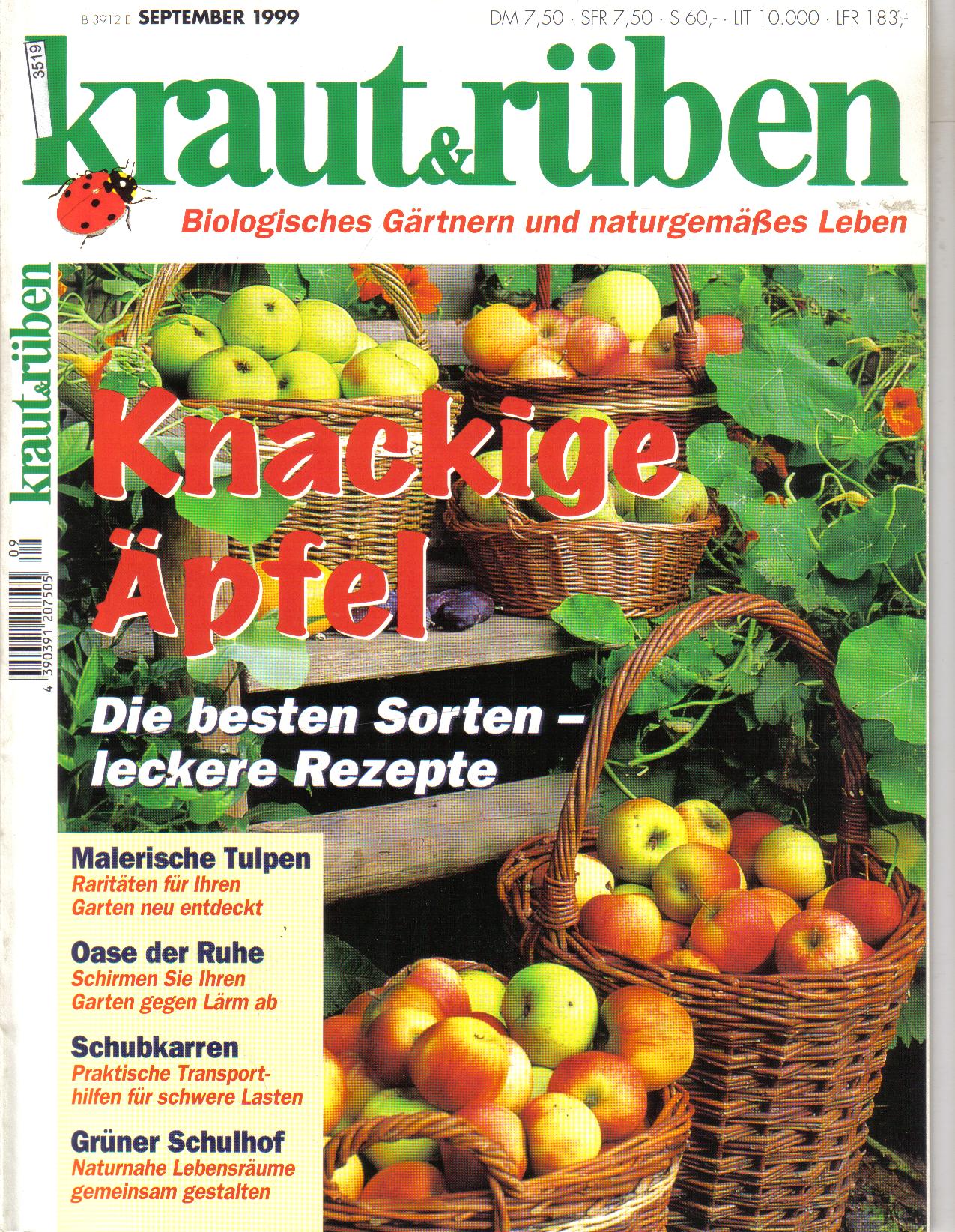 kraut & rueben   September 1999