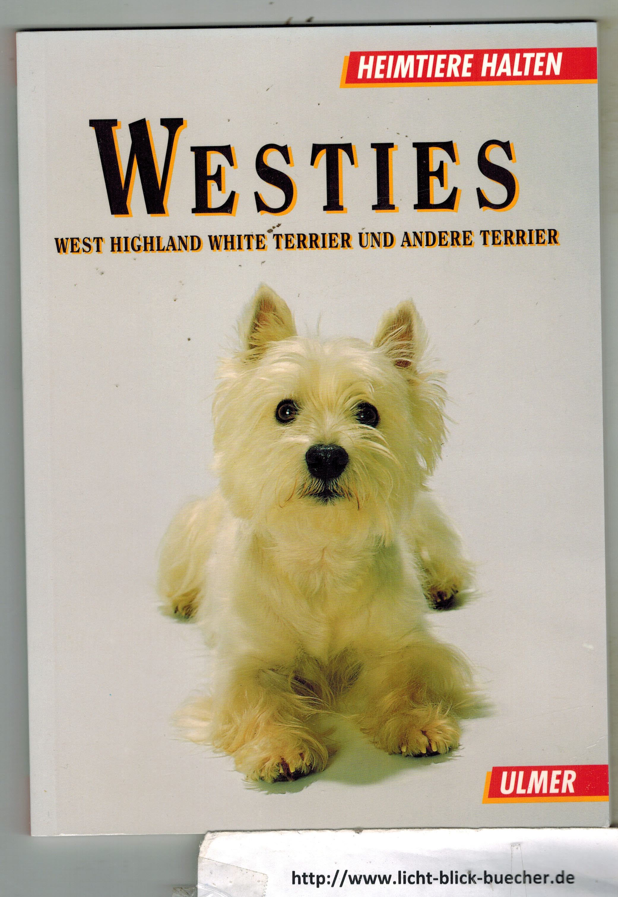 Westies West Highland White Terrier und andere TerrierDagmar Schratter
