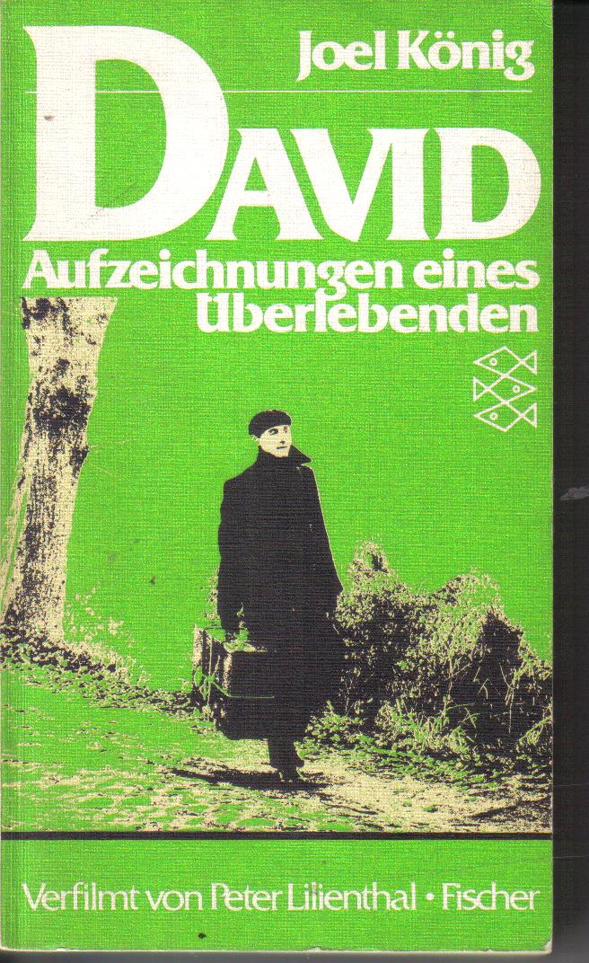DAVIDAufzeichnungen eines UeberlebendenJoel Koenig