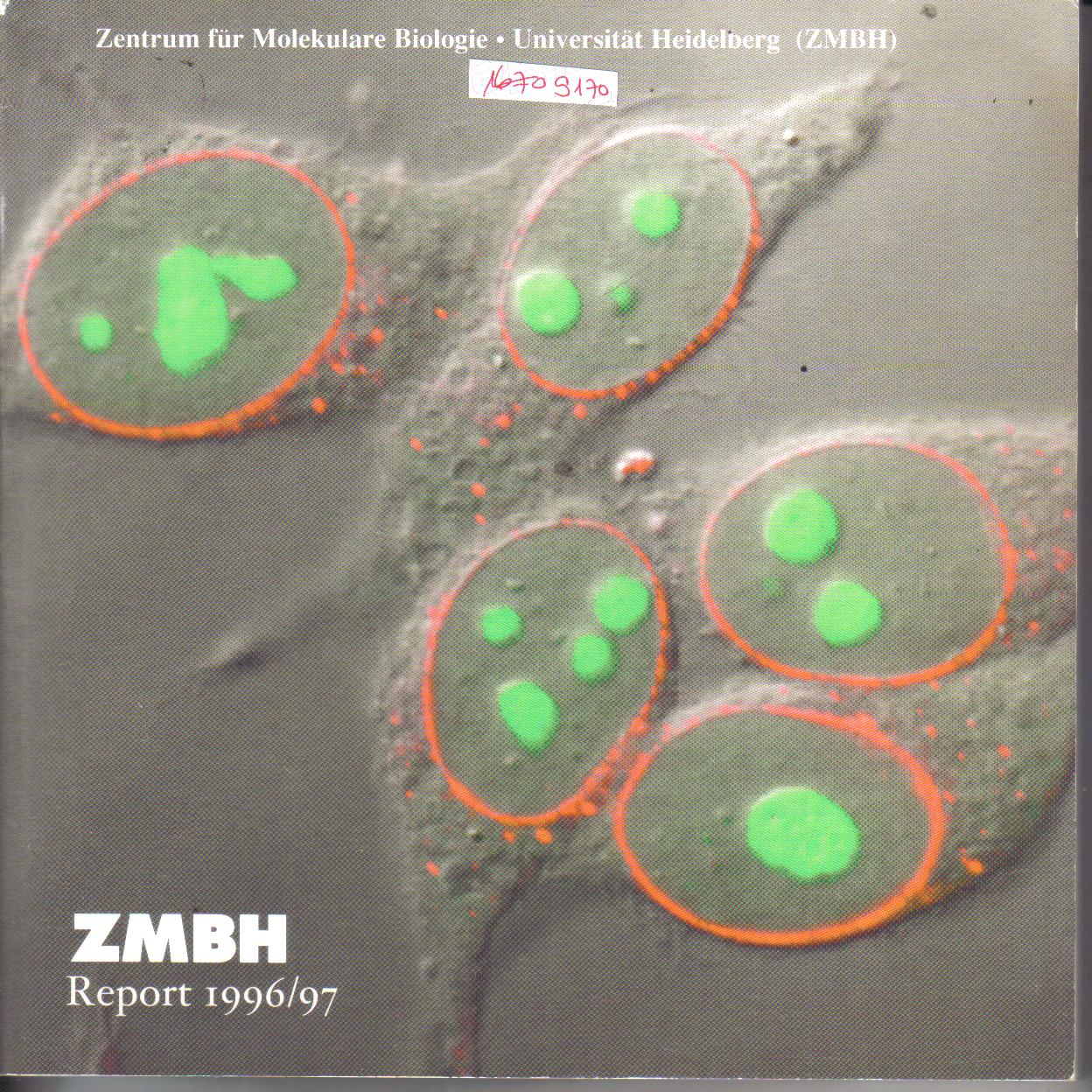 ZMBH Report 1996 /1997